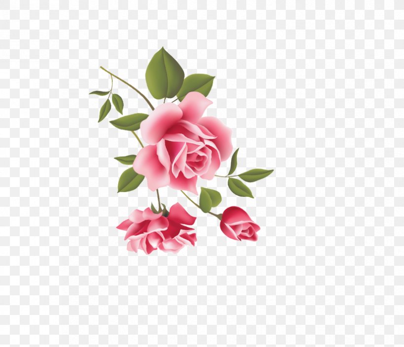 Beach Rose Pink Flower, PNG, 827x712px, Beach Rose, Flora, Floral Design, Floristry, Flower Download Free