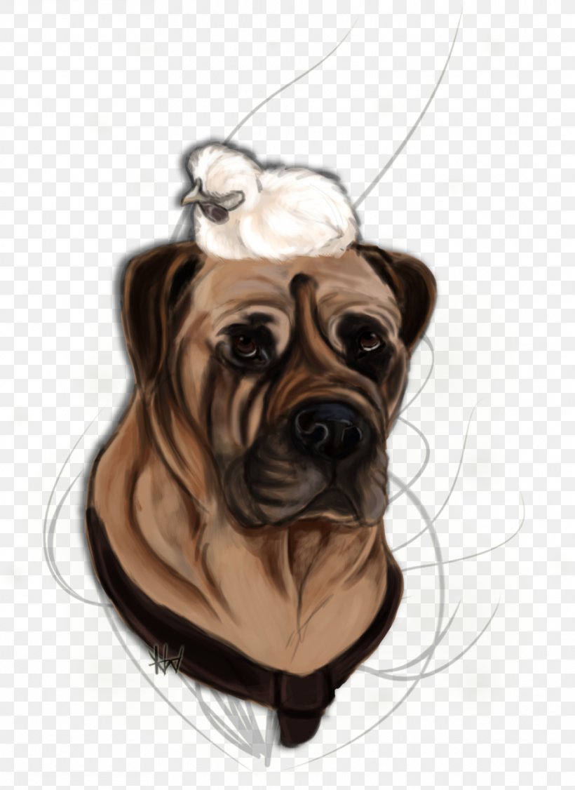 Dog Breed Pug Bullmastiff Puppy Snout, PNG, 935x1284px, Dog Breed, Breed, Bullmastiff, Carnivoran, Crossbreed Download Free