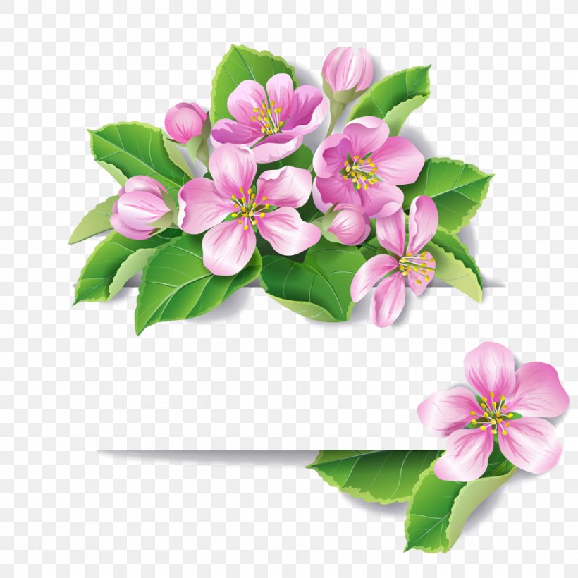 Flower Flowering Plant Petal Plant Pink, PNG, 1024x1024px, Flower, Blossom, Bouquet, Cut Flowers, Flowering Plant Download Free
