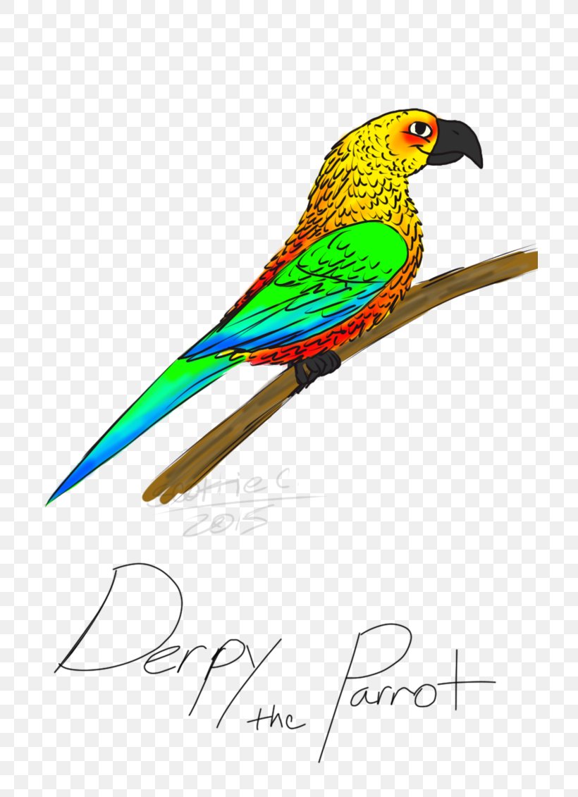 Macaw Parakeet Clip Art Feather Beak, PNG, 707x1131px, Macaw, Beak, Bird, Common Pet Parakeet, Fauna Download Free