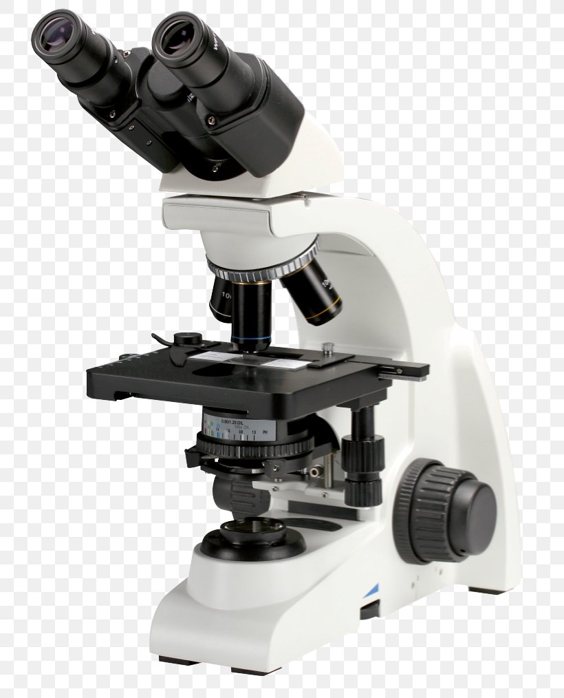Optical Microscope Phase Contrast Microscopy Stereo Microscope Optics, PNG, 763x1014px, Optical Microscope, Achromatic Lens, Binoculars, Brightfield Microscopy, Condenser Download Free