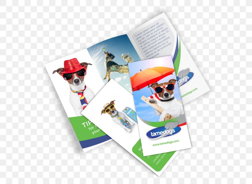 Brochure Mockup Template, PNG, 600x600px, Brochure, Advertising, Brand, Catalog, Eyewear Download Free
