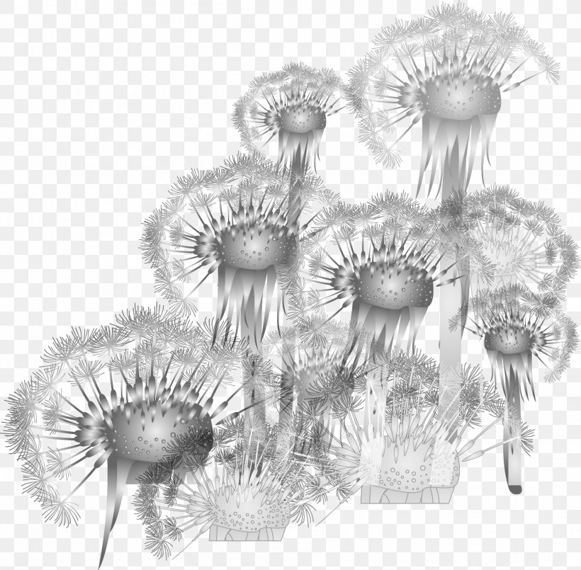 Common Dandelion, PNG, 1902x1869px, Common Dandelion, Artwork, Black And White, Dandelion, Drawing Download Free