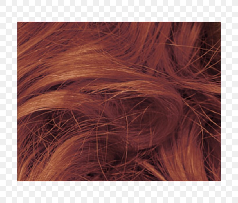 Hair Coloring Long Hair Blond, PNG, 700x700px, Hair Coloring, Blond, Brown, Brown Hair, Caramel Color Download Free