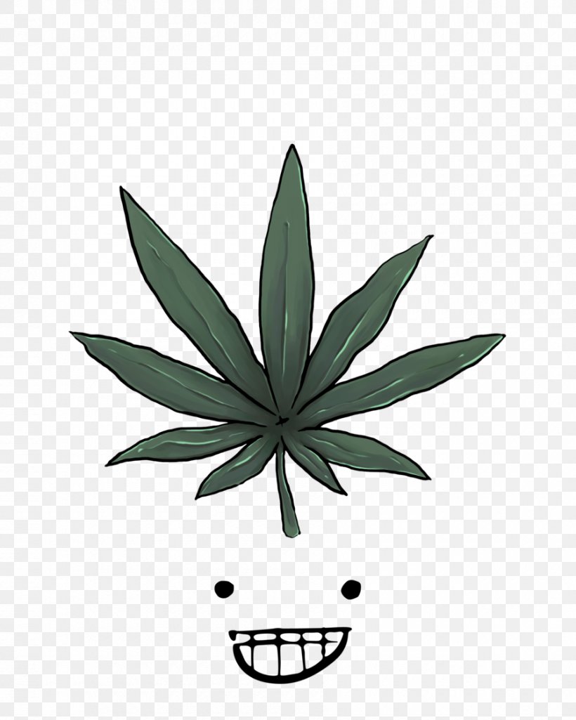 Medical Cannabis Drawing Legality Of Cannabis, PNG, 900x1125px, Cannabis, Agave, Drawing, Drug, Fotosearch Download Free