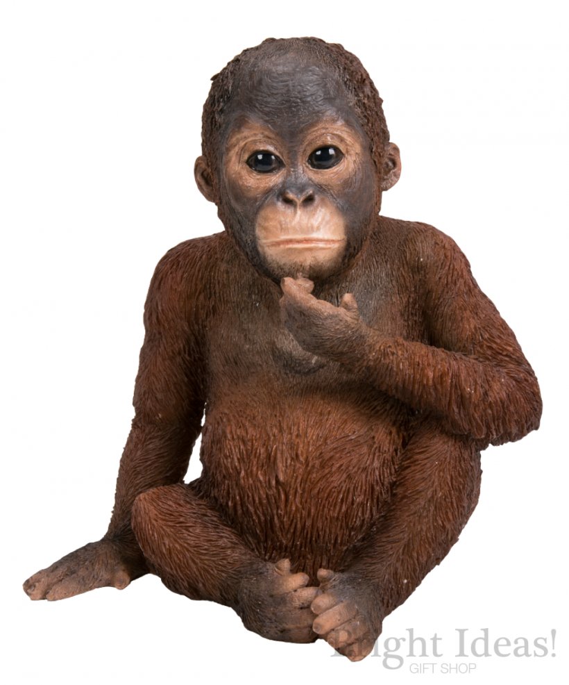 Orangutan The Arts Infant Statue Gift, PNG, 1000x1203px, Orangutan, Animal, Art, Arts, Common Chimpanzee Download Free