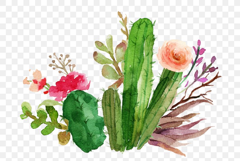 Paper Flower Cactaceae Textile Succulent Plant, PNG, 700x550px, Paper, Artificial Flower, Cactaceae, Color, Cut Flowers Download Free