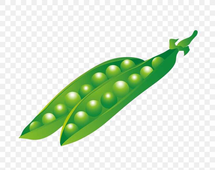 Pea Animation, PNG, 1740x1378px, Pea, Animation, Fruit, Gratis, Green Download Free