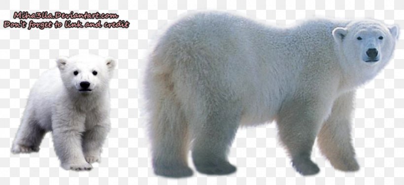 Polar Bear Clip Art, PNG, 900x413px, Polar Bear, Alpha Compositing, Animal Figure, Bear, Brown Bear Download Free