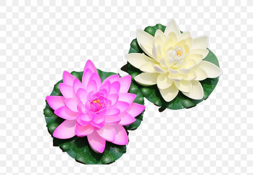 Water Lily Nelumbo Nucifera Artificial Flower Lotus Effect, PNG, 1035x716px, Water Lily, Artificial Flower, Buddhism, Cut Flowers, Floral Design Download Free