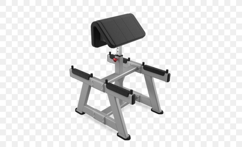 Bench Biceps Curl Star Trac Exercise Equipment Exercise Bikes, PNG, 500x500px, Bench, Bench Press, Biceps, Biceps Curl, Elliptical Trainers Download Free