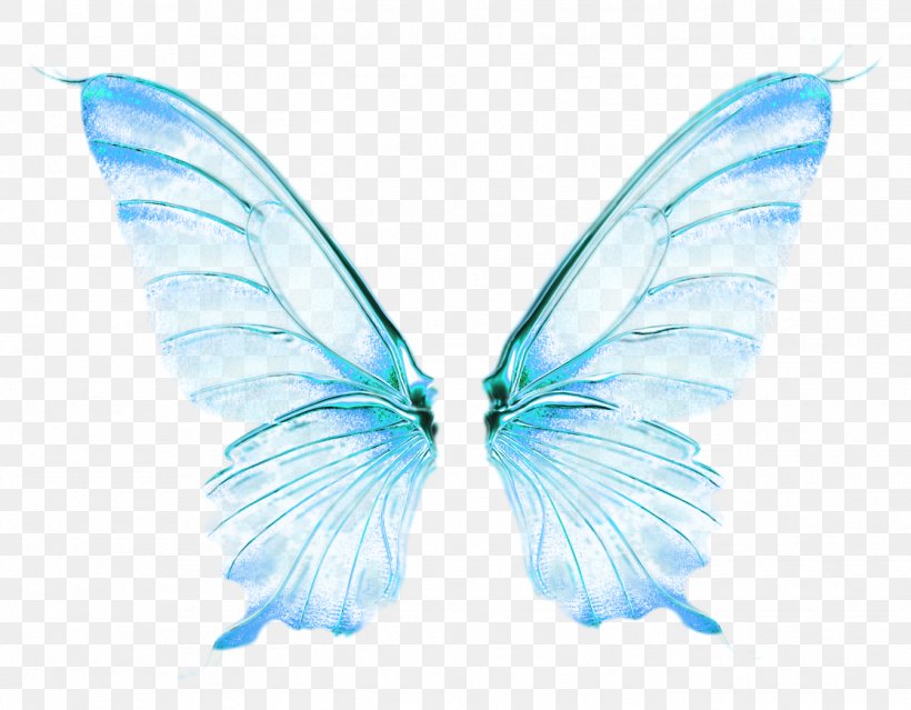Butterfly Wing Desktop Wallpaper, PNG, 1344x1048px, Butterfly, Azure, Butterflies And Moths, Editing, Fairy Download Free