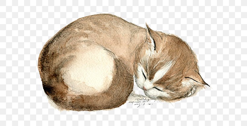 Domestic Short-haired Cat Whiskers Kitten, PNG, 658x418px, Cat, Animal, Carnivoran, Cat Like Mammal, Claw Download Free