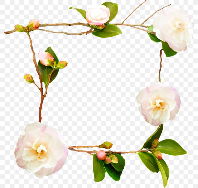 Flower Rosa Chinensis Floral Design, PNG, 800x776px, Flower, Artificial Flower, Blossom, Blume, Branch Download Free