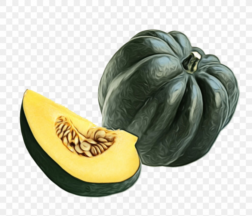 Squash Winter Squash Fruit Melon, PNG, 850x729px, Watercolor, Fruit, Melon, Paint, Squash Download Free