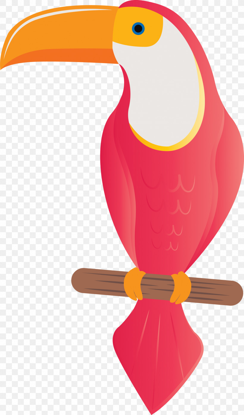 Beak, PNG, 1764x3000px, Beak Download Free