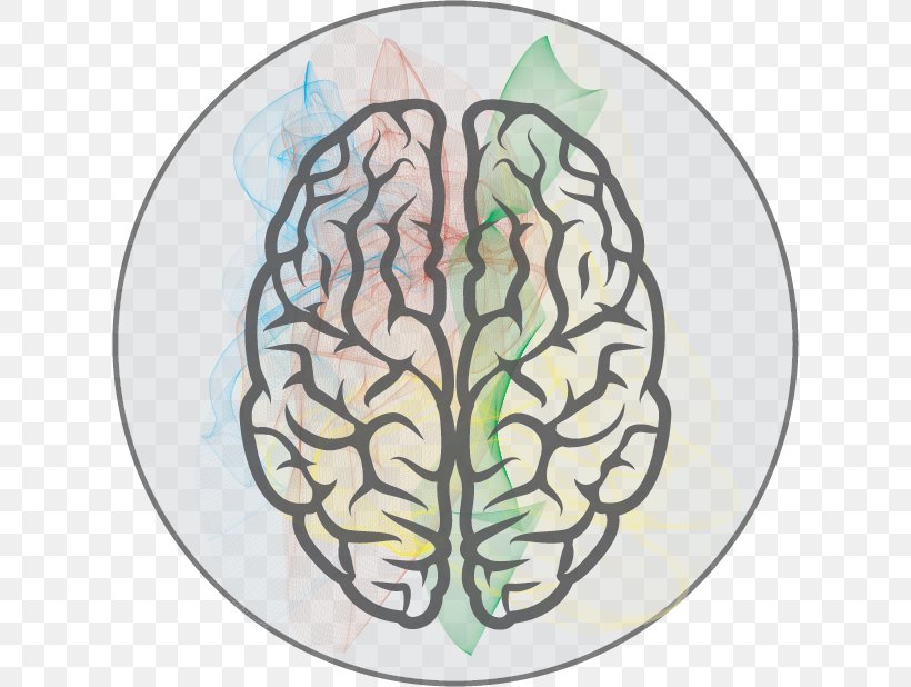 Clip Art Vector Graphics Human Brain Image, PNG, 618x618px, Watercolor, Cartoon, Flower, Frame, Heart Download Free