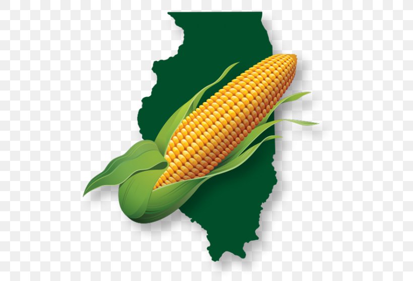 DeKalb Property Tax Business, PNG, 500x559px, Dekalb, Business, Commodity, Corn On The Cob, Economy Download Free