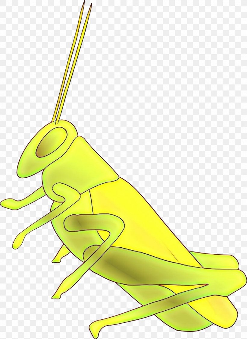Grasshopper Clip Art Illustration Insect Locust, PNG, 933x1280px, Grasshopper, Cricket, Cricketlike Insect, Fauna, Frog Download Free