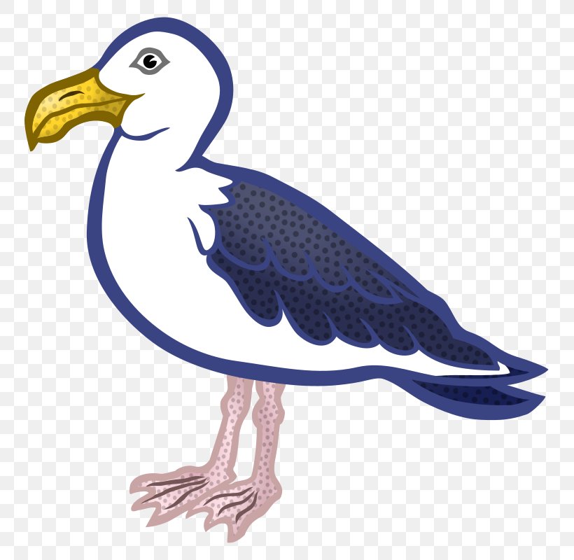 Gulls Bird Clip Art, PNG, 797x800px, Gulls, Beak, Bird, Bird Of Prey, Charadriiformes Download Free