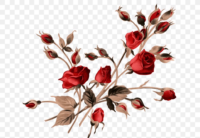 Painting Rose, PNG, 650x565px, Painting, Blossom, Branch, Cut Flowers, Floral Design Download Free