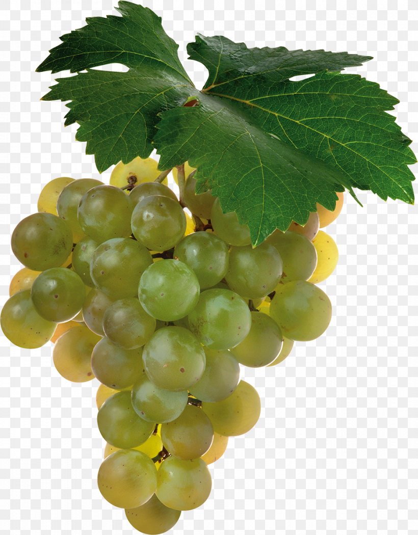 Shiraz Cabernet Sauvignon Sauvignon Blanc Wine Grape, PNG, 937x1200px, Shiraz, Cabernet Sauvignon, Common Grape Vine, Food, Fruit Download Free