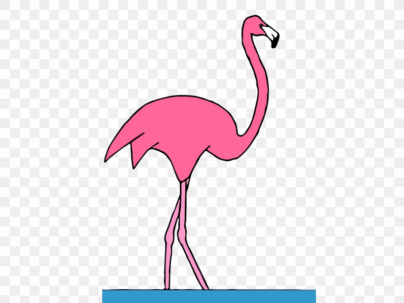 Water Bird Vertebrate Crane Beak, PNG, 4800x3600px, Bird, Animal, Beak, Cartoon, Crane Download Free