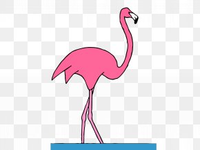 Bird Roblox Crane Pink Flamingo Png 2400x3200px Bird Art Beak Blackandwhite Crane Download Free - flamingo roblox bird meme