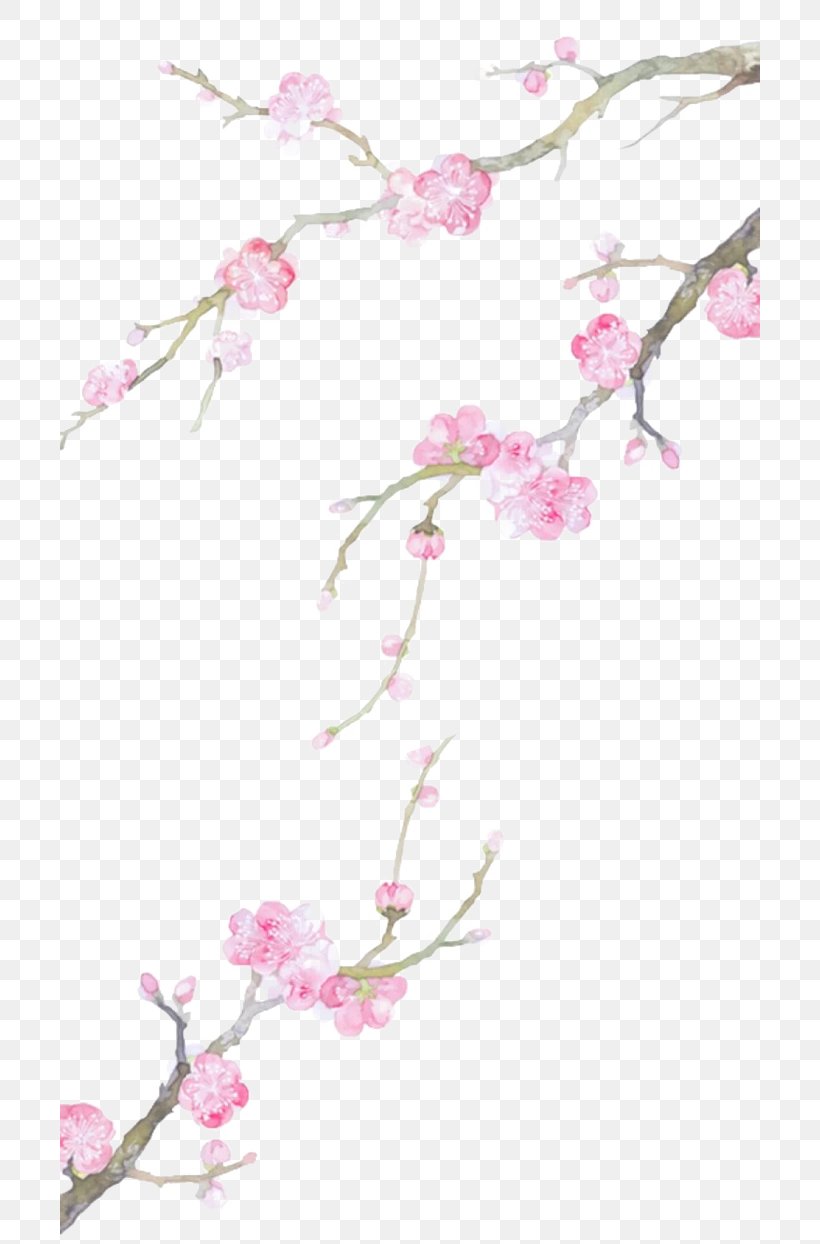 Cartoon Drawing Clip Art, PNG, 700x1244px, Cartoon, Architecture, Baidu Tieba, Blossom, Branch Download Free