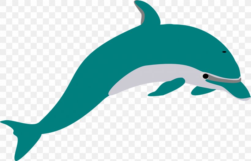 Common Bottlenose Dolphin Wholphin Tucuxi Spinner Dolphin, PNG, 1280x822px, Common Bottlenose Dolphin, Art, Beak, Bottlenose Dolphin, Cetacea Download Free
