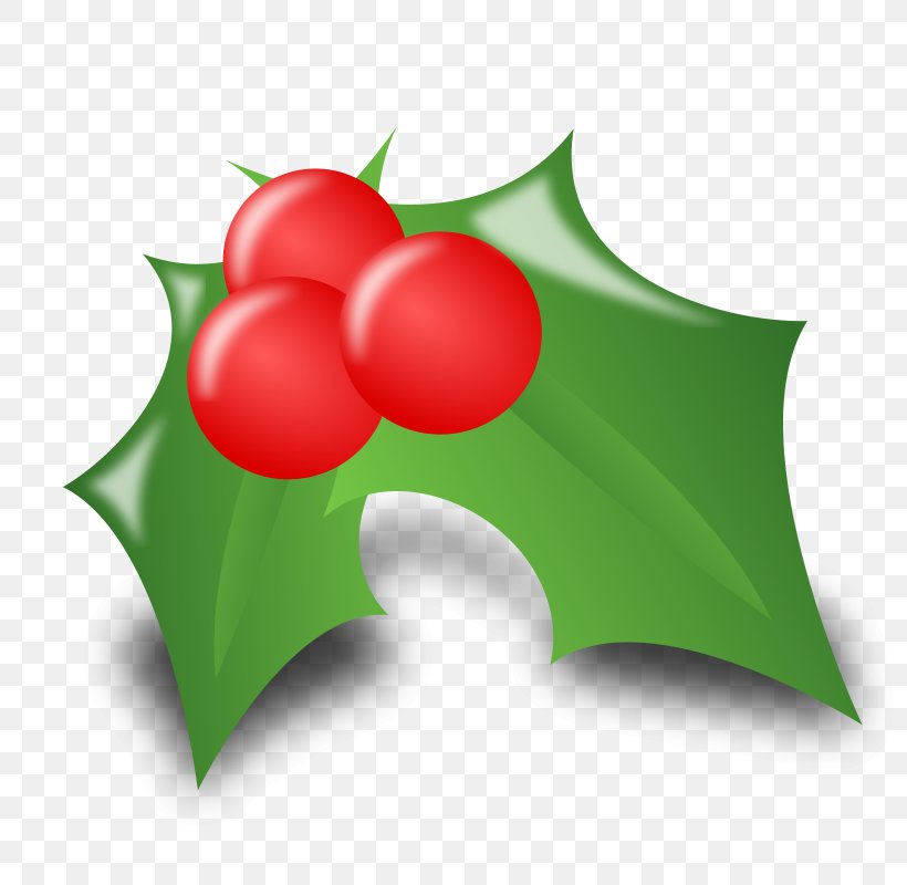 Santa Claus Christmas Clip Art, PNG, 800x800px, Santa Claus, Aquifoliaceae, Aquifoliales, Christmas, Christmas Decoration Download Free