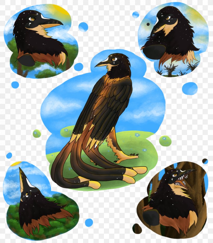Eagle Fauna Illustration Graphics Beak, PNG, 836x955px, Eagle, Art, Beak, Bird, Bird Of Prey Download Free
