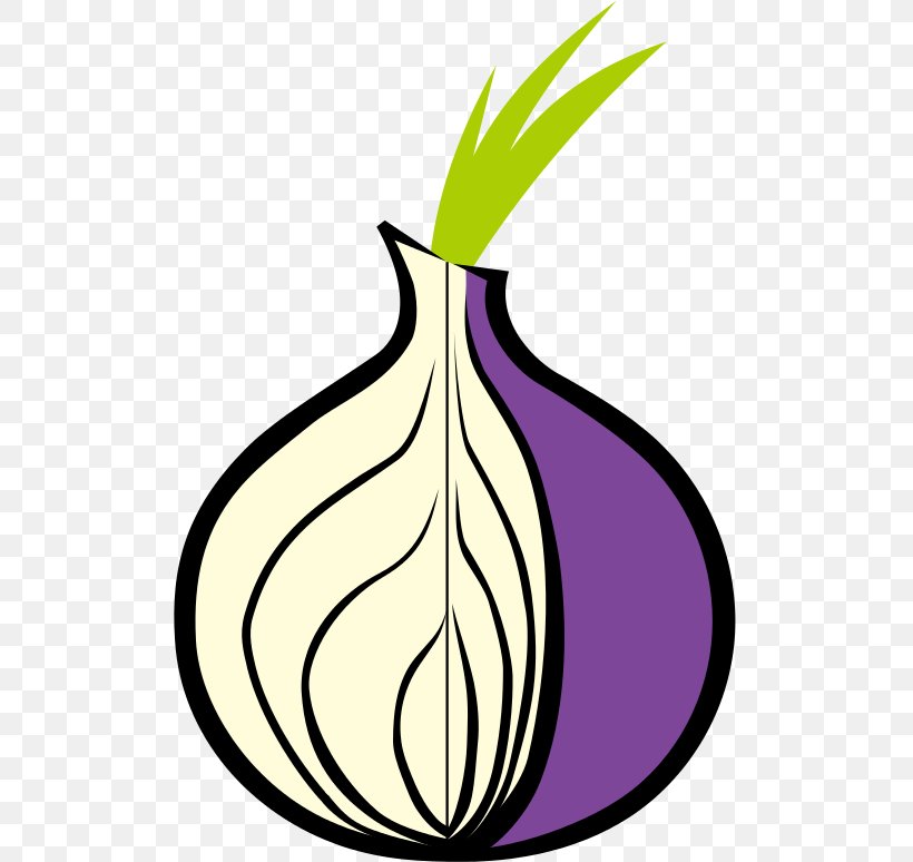 Tor Browser .onion Onion Routing Web Browser, PNG, 558x774px, Tor, Anonymity, Anonymous Web Browsing, Artwork, Dark Web Download Free