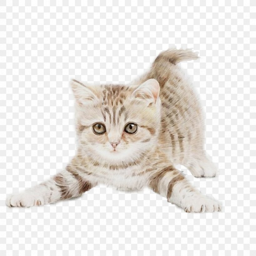 Cat Small To Medium-sized Cats Tabby Cat Whiskers Kitten, PNG, 2362x2362px, Watercolor, Cat, European Shorthair, Kitten, Paint Download Free