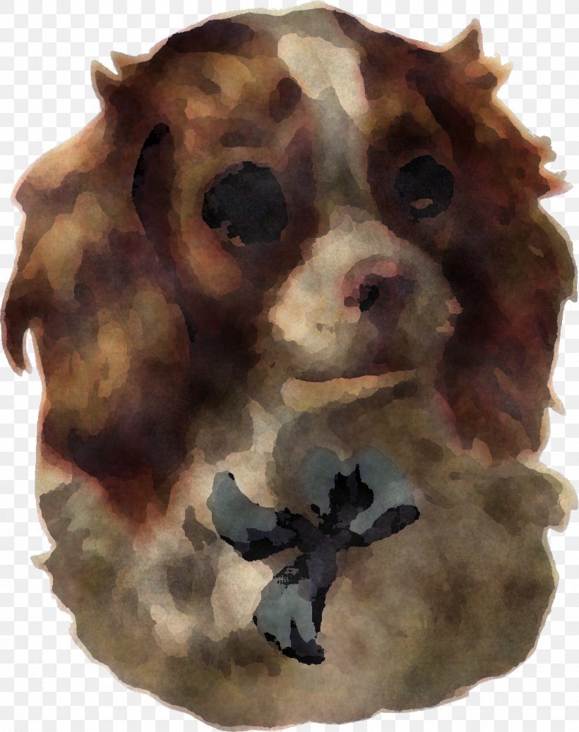 Dog Cocker Spaniel Brown Snout Sporting Group, PNG, 1126x1425px, Dog, Brown, Cocker Spaniel, Dog Breed, Puppy Download Free
