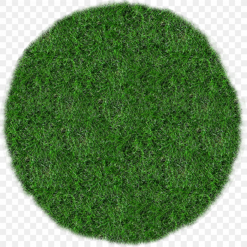 Grass Lawn Mowers Meadow, PNG, 2720x2720px, Grass, Bluegrass, Corporate Grassroots, Ecology, Grassroots Download Free