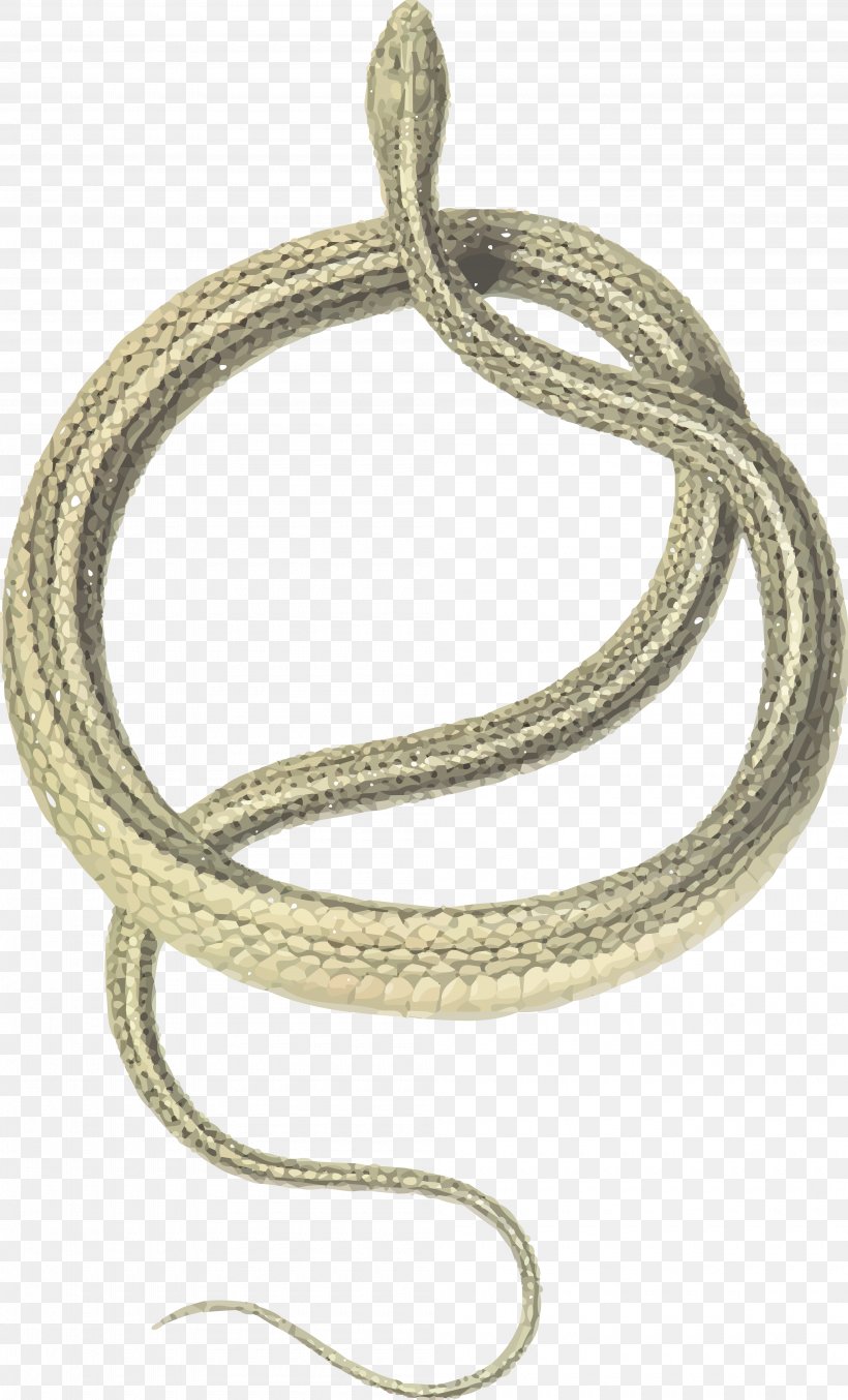 Green Whip Snake Coluber Balkan Whip Snake Shadow Of The Snake, PNG, 4000x6608px, Snake, Balkan Whip Snake, Body Jewelry, Bracelet, Chain Download Free