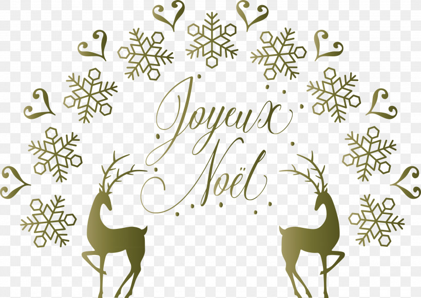 Noel Nativity Xmas, PNG, 3000x2132px, Noel, Antler, Christmas, Deer, Flora Download Free