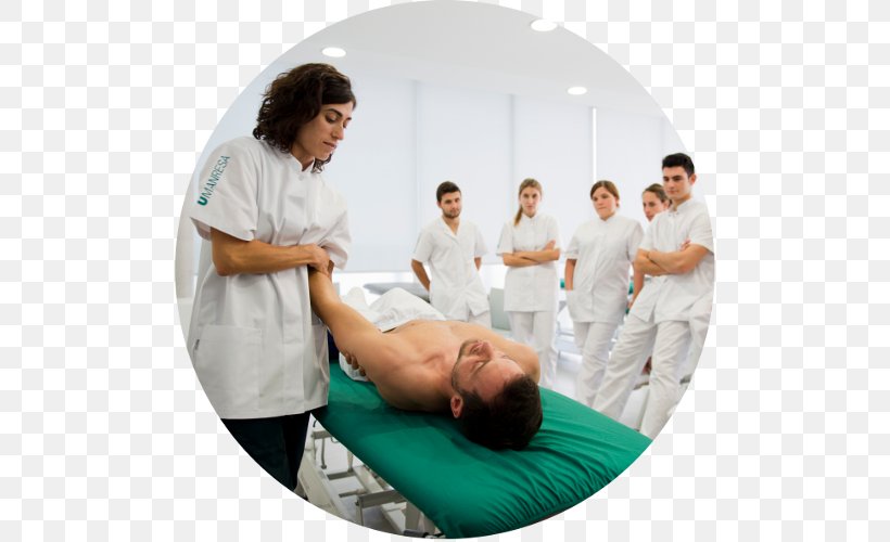 Physical Therapy Health Care Kinesiotherapy Medicine, PNG, 503x500px, Therapy, Academic Degree, Chiropractor, Geriatrics, Health Download Free