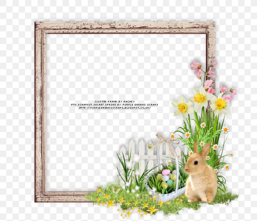 Picture Frames Easter Digital Scrapbooking, PNG, 714x704px, Picture Frames, Border, Digital Scrapbooking, Dream, Easter Download Free