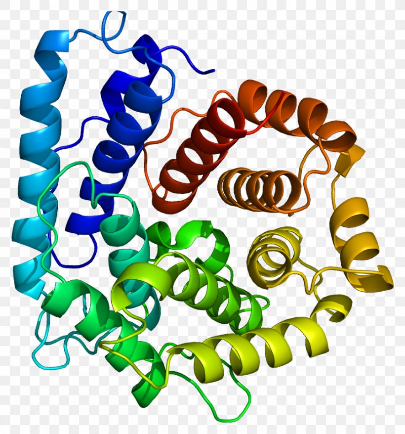 Complement Component 3 Complement System Protein C3-convertase C3a, PNG, 896x960px, Complement System, Body Jewelry, C3a, C3b, Glycoprotein Download Free