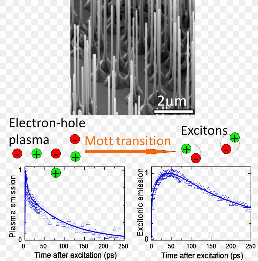 Exciton Nanowire Electron Hole Semiconductor, PNG, 1716x1742px, Exciton, Charge Carrier, Diagram, Electron, Electron Hole Download Free