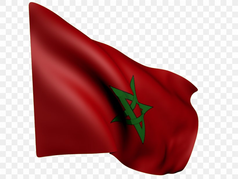 Flag Of Morocco Image, PNG, 1280x963px, Morocco, Computer Network, Flag, Flag Of Morocco, Flower Download Free