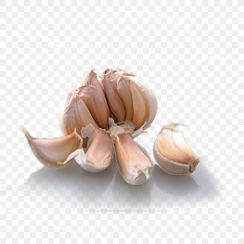 Garlic Bread Condiment Computer File, PNG, 3543x3543px, Garlic, Ail Blanc De Lomagne, Condiment, Flavor, Gratis Download Free