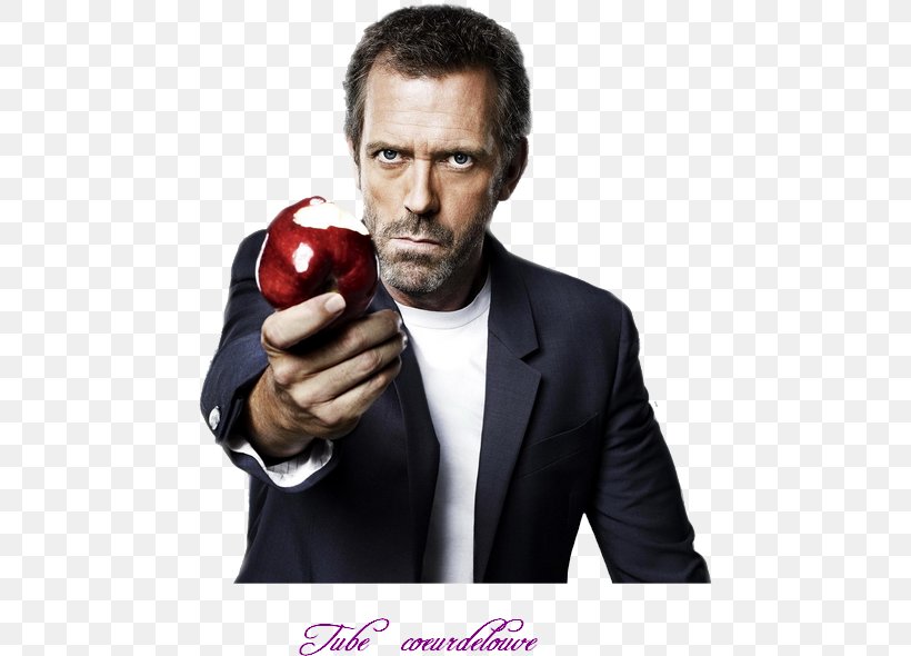 Hugh Laurie Dr. Gregory House House, PNG, 462x590px, Hugh Laurie, Boxing Glove, Dr Gregory House, Episode, Facial Hair Download Free