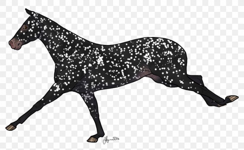 Mustang Appaloosa Rein Stallion Mare, PNG, 905x558px, Mustang, Animal Figure, Appaloosa, Art, Black Download Free