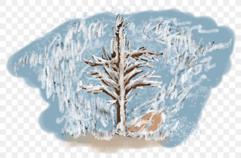 Pine Family Winter, PNG, 1024x674px, Pine, Blue, Frost, Pine Family, Tree Download Free