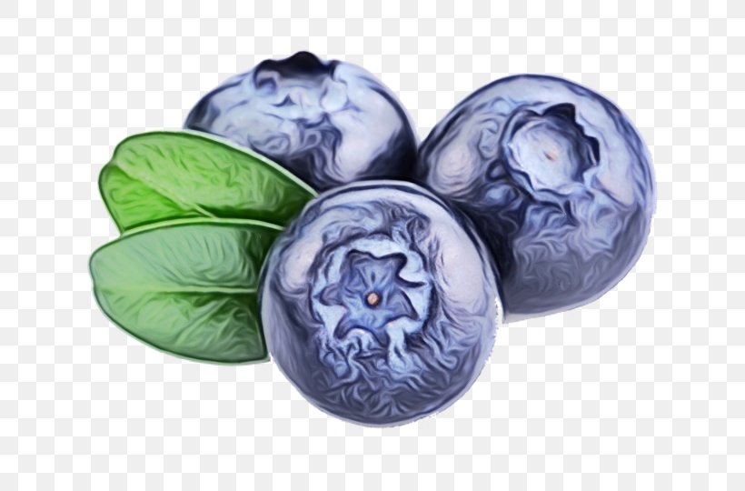 Blueberry Blue, PNG, 755x540px, Blueberry, Bilberry, Blue, European Plum, Fruit Download Free