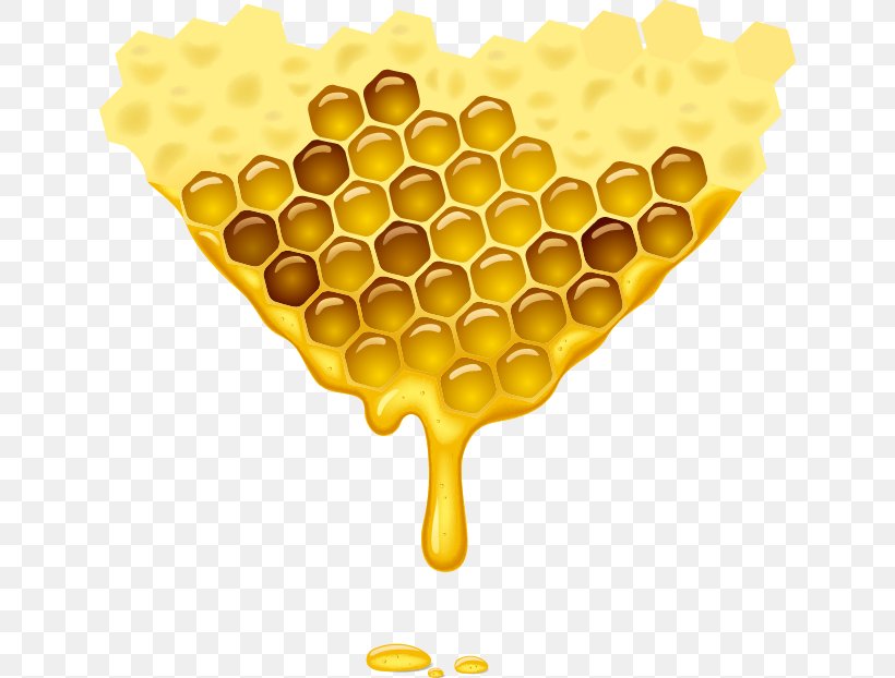 Honey Bee Honeycomb Illustration, PNG, 638x622px, Bee, Beehive, Honey, Honey Bee, Honeycomb Download Free