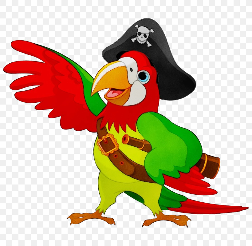 Parrots Birds Piracy Royalty-free Talking Bird, PNG, 800x800px, Watercolor, Birds, Paint, Parrots, Piracy Download Free